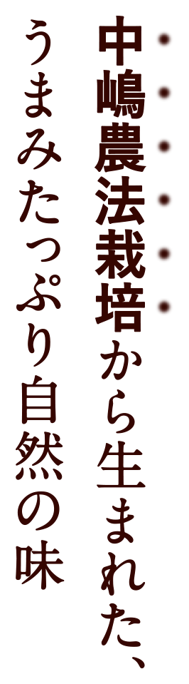 中嶋農法栽培から生まれた、うまみたっぷり自然の味