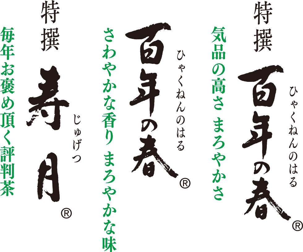 特撰百年の春　百年の春　特撰寿月