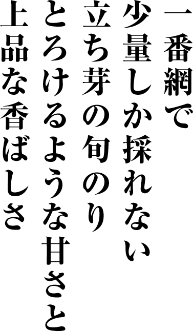 一番網で少量しか採れない立ち芽の旬のり摘みたてのとろけるような甘さと上品な香ばしさ