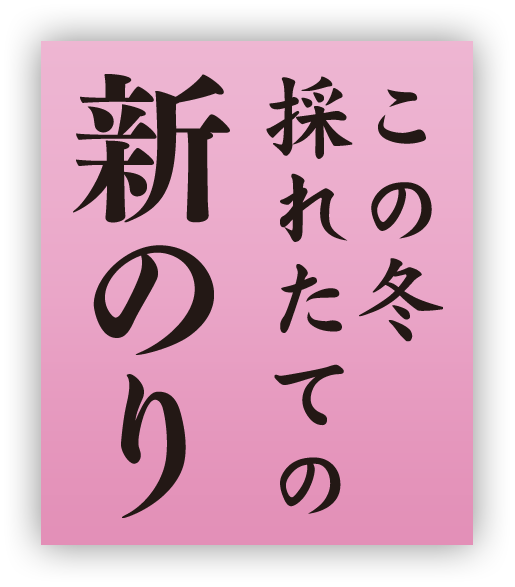 この冬採れたての新のり