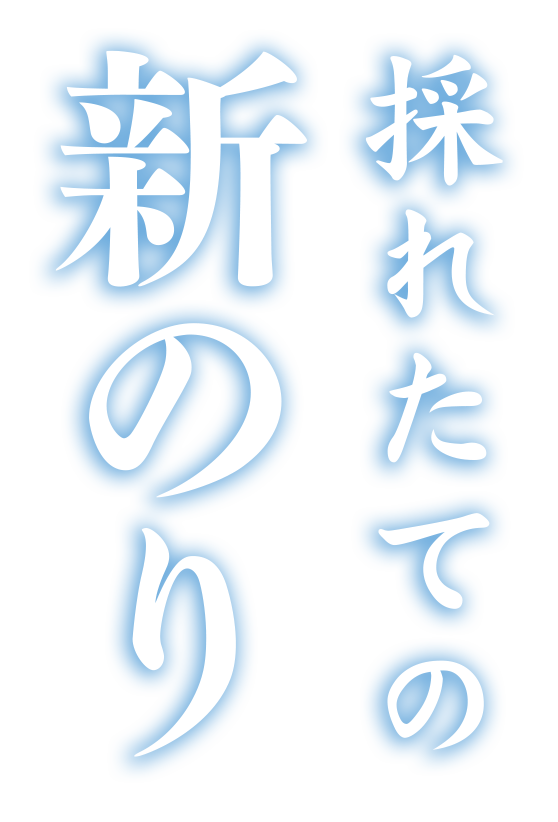 採れたての新のり