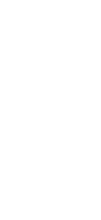 滋味豊かな一番摘み深蒸し煎茶